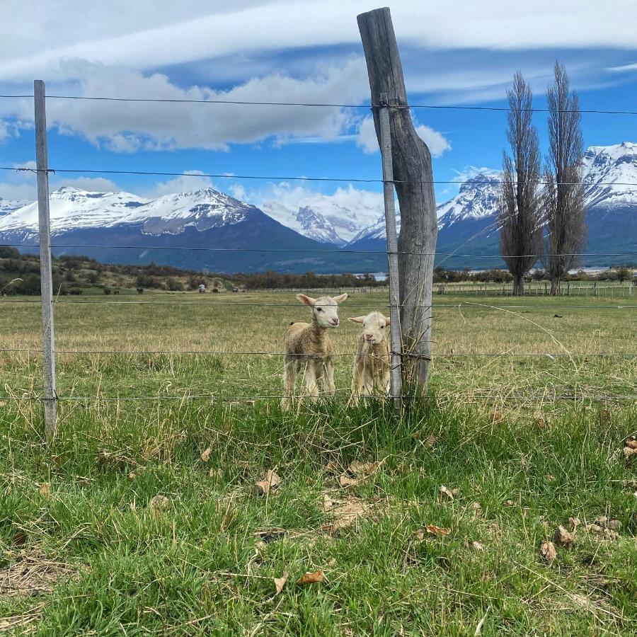 Estancia Nibepo Aike Colonia Francisco Perito Moreno Esterno foto