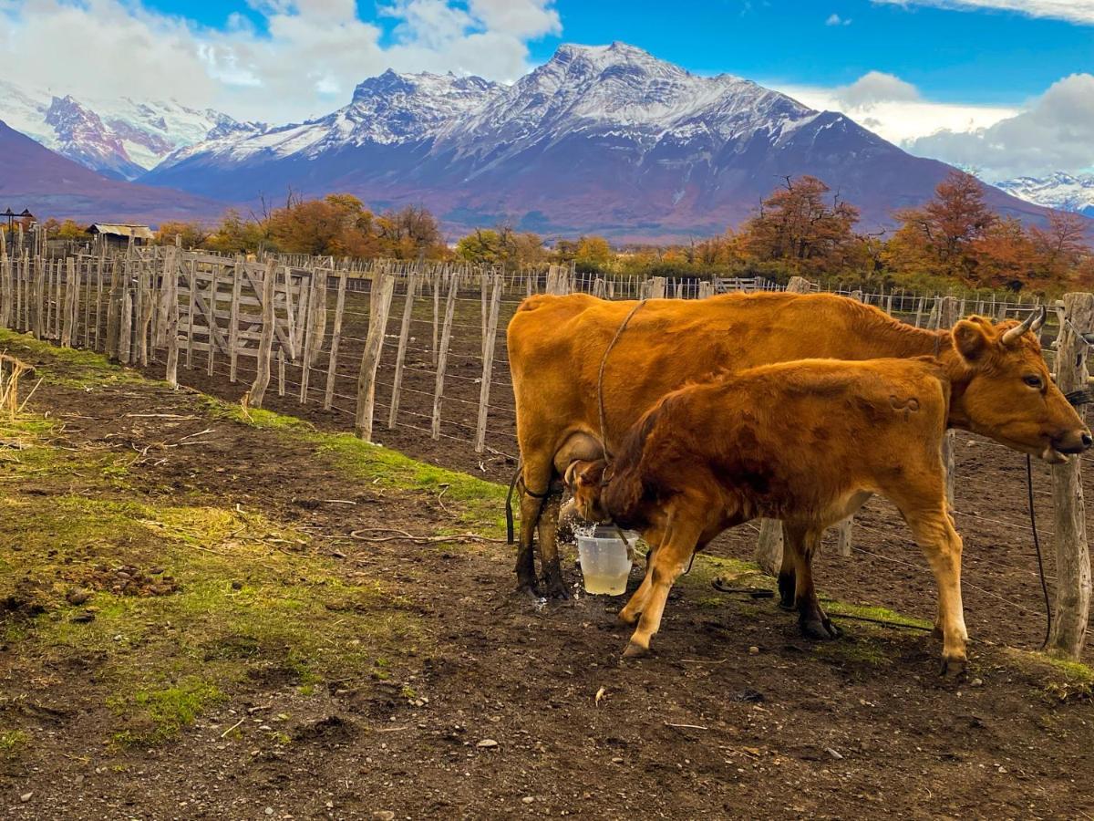 Estancia Nibepo Aike Colonia Francisco Perito Moreno Esterno foto