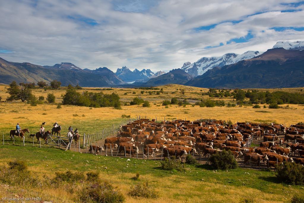 Estancia Nibepo Aike Colonia Francisco Perito Moreno Esterno foto
